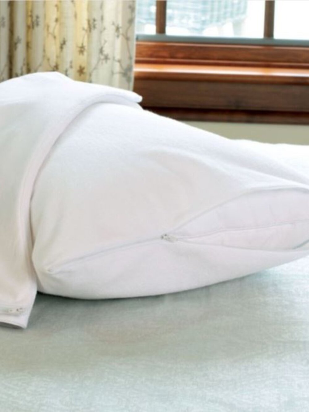 Two Charter Club European White Goose Down King Pillows w/protectors-Med-6